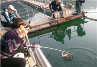分享深水筏钓的钓组搭配经验和技巧