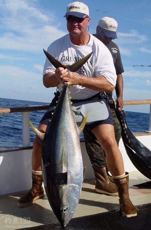 海水路亚钓具装备和常钓对象鱼种