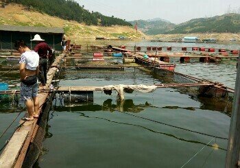 天生桥水库筏岸钓排