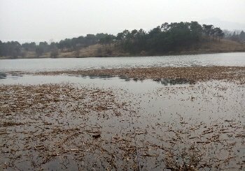 木兰湖烂尾楼钓点