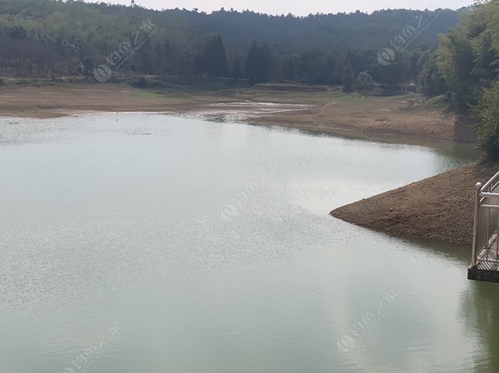 龙冲水库_龙冲水库钓鱼攻略_龙冲水库可以钓鱼吗