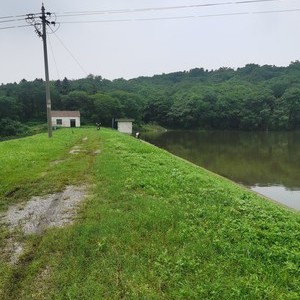 大山水库_大山水库钓鱼攻略_大山水库可以钓鱼吗 - 钓鱼之家