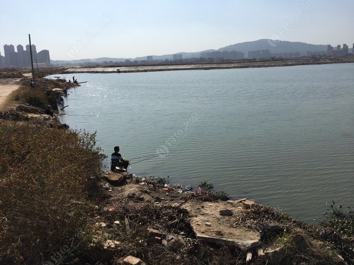 贞岱大水面,好多人 钓鱼之家