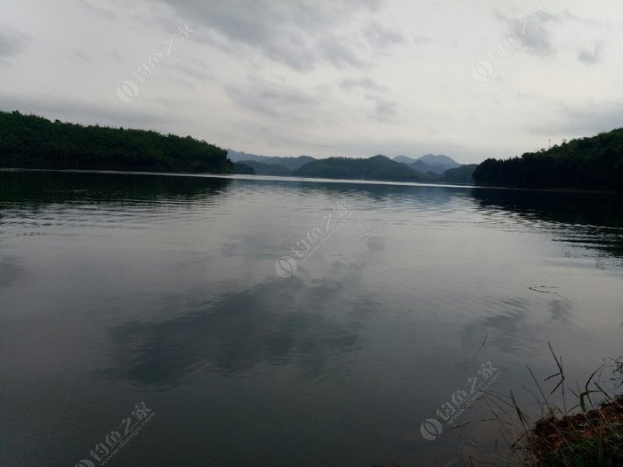 广西宾阳有多少人口_广西宾阳炮龙节图片(2)