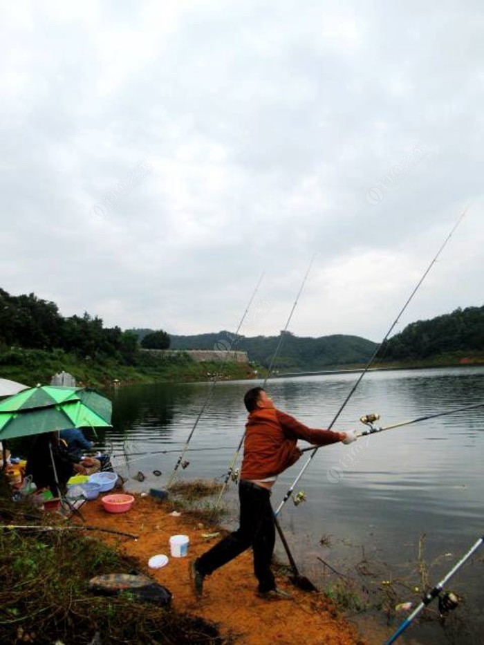 中国万峰湖第十四届野钓大赛 - 钓鱼之家