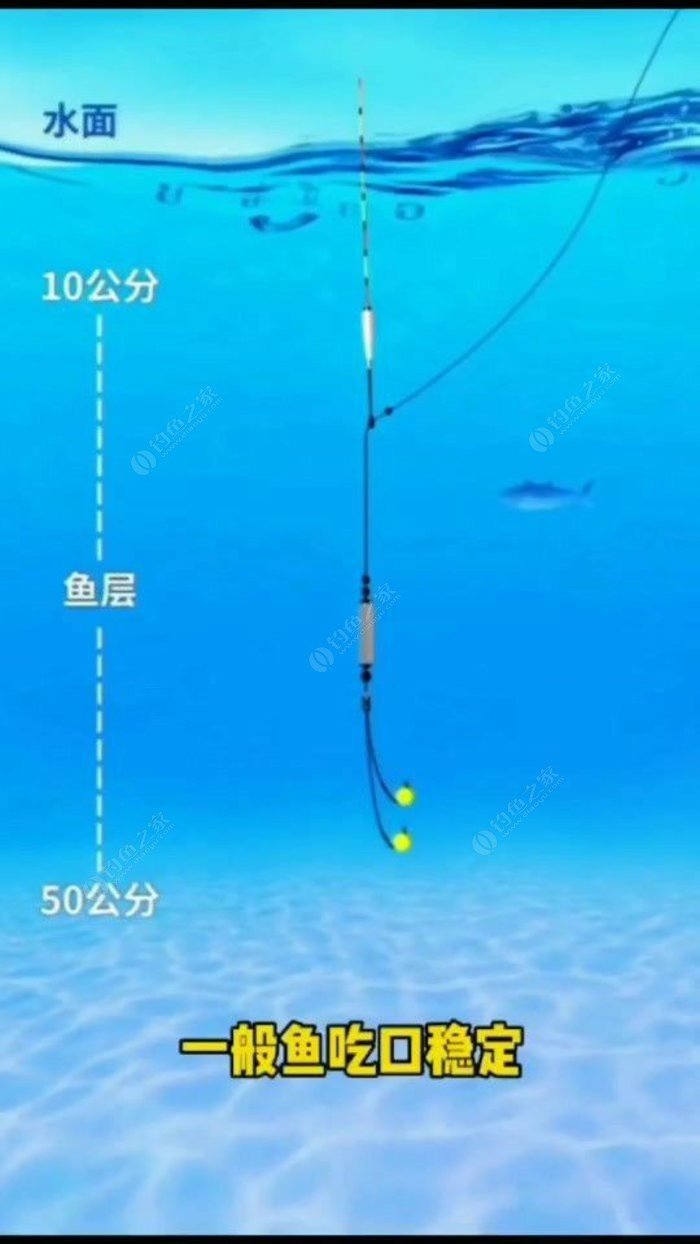 竞技钓鱼线组怎么搭_钓鱼线组的绑法图解