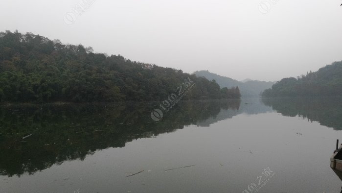 昨天彭州莲花湖半日,空军及鱼况见闻 - 钓鱼之家