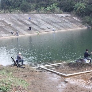 大坑水库天气预报