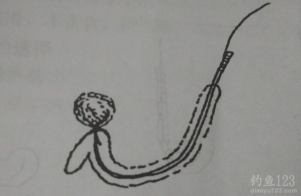 蚯蚓的裝鉤方法