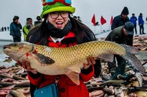 2015年新疆博斯腾湖冬季捕鱼活动头网捕获15吨