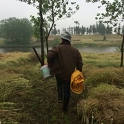 斜风细雨中，与老丈人共垂钓之乐。