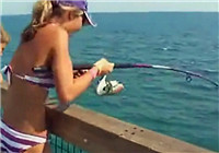 《海釣視頻》 國外美女扎堆大海碼頭釣鲅魚