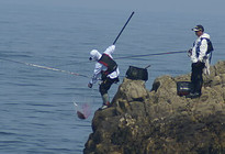 《海洋战士》第40集 浪岗山列岛海钓鲈鱼