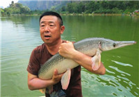 《游钓中国》第一季第71集 泰国秀兰湖路亚之旅