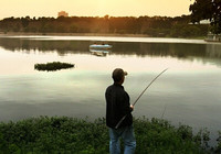 《去钓鱼》第63集 鱼博钓友分享夏季钓鲤技巧