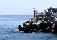 海钓常见的四种钓法