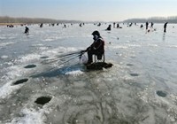 冬季冰钓鲫鱼技巧分析