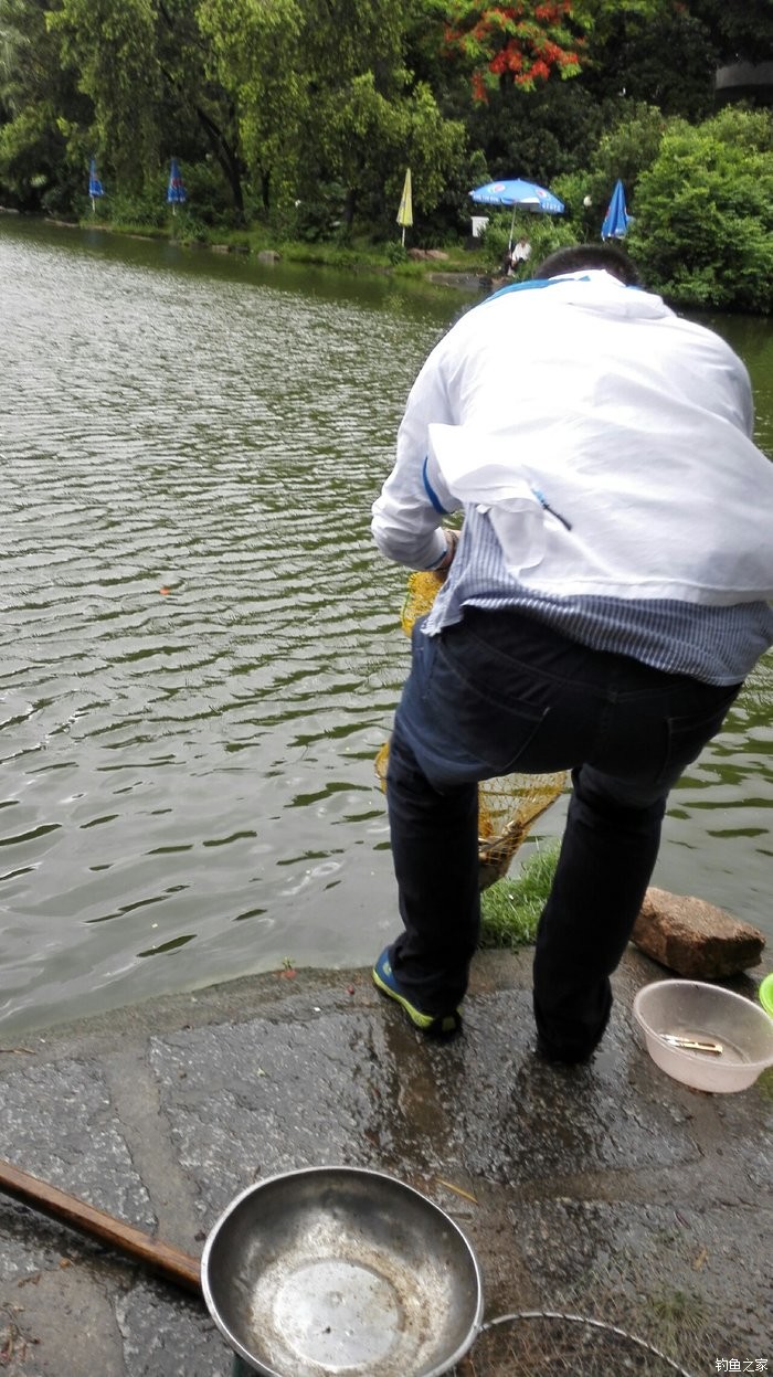 雨天钓草鱼图片