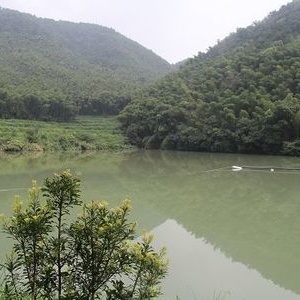 悬钟岭水库