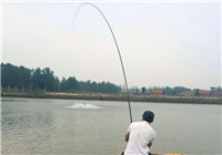 钓大鱼时的正确遛鱼动作和技巧（下）