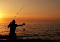 水库矶竿钓鱼时的鱼口分辨和钓组技巧
