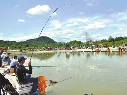 釣魚打行程