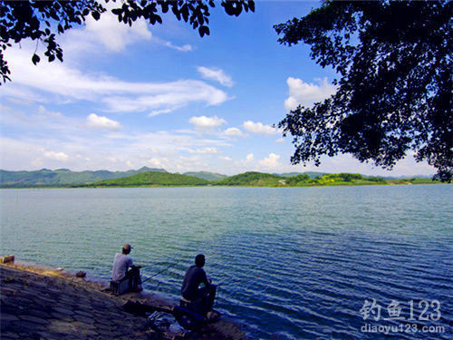 釣羅非魚(yú)