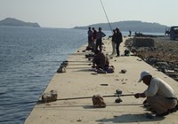 堤坝型钓场中使用抛竿的海钓技巧