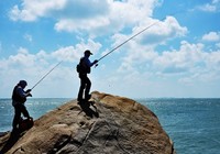 浮游矶钓的渔具装备选择技巧