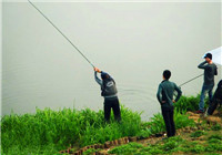 中国钓鱼历史中的传统钓技巧（五）