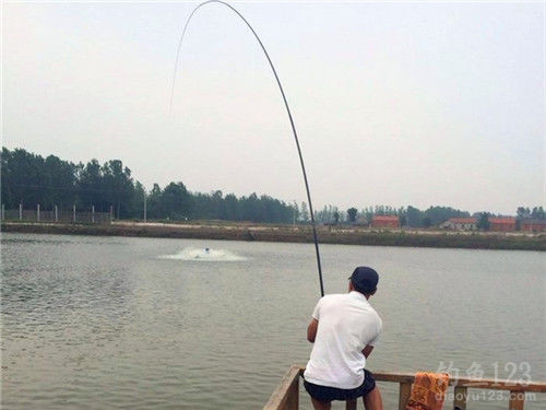 釣青魚