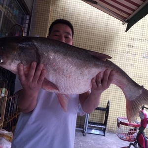 釣魚(yú)樂(lè)魚(yú)具