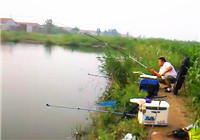 《釣友原創(chuàng)釣魚視頻》手竿臺釣鰱鳙魚的遛魚技巧