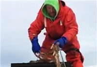 《钓友原创钓鱼视频》 砸开冰面竟然有这么多鱼！