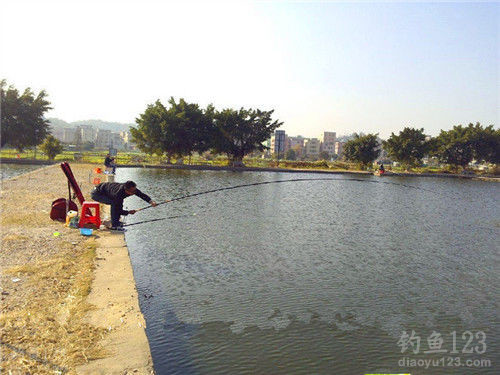 提竿遛魚