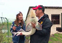 《江湖行钓鱼视频》176 上海黑坑体验钓鲟鱼
