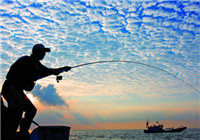 钓友分享用海竿和抛竿钓鱼时的提竿技巧