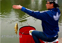 《江湖行钓鱼视频》177 北京黑坑体验手竿钓鲫鱼