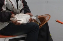 《垂釣對象魚視頻》武漢天元冬季自然水域釣鳊魚視頻