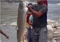 《钓友原创钓鱼视频》 男子用手绳钓获河流巨物