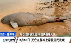 《中国垂钓周刊》第9期 禁渔期 首投无人机巡航