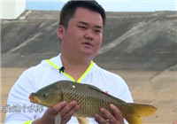 《江湖行钓鱼视频》178 三亚黑坑垂钓之旅