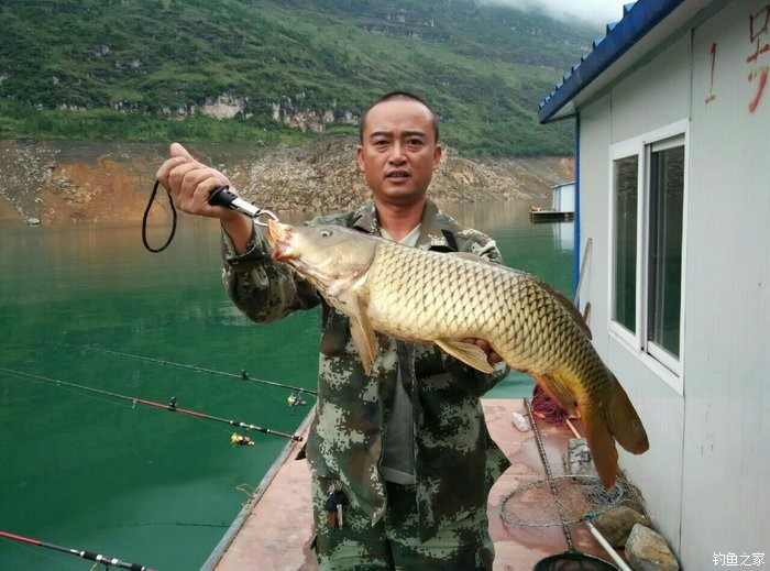 北盘江钓鱼图片