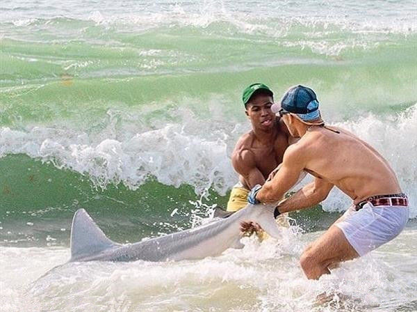 钓鱼人真会玩：男子空手将360斤活鲨鱼拉上岸