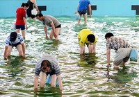 《中国垂钓周刊》第21期 休闲捕鱼运动背后存生态隐患