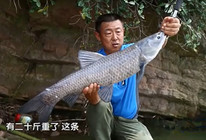 李大毛《游钓中国》第26集 赤东湖钓获20多斤大青鱼