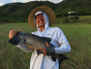 臺(tái)山作釣擒獲大青大草百余斤