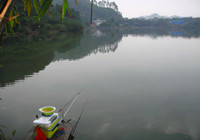 冬季南方艷陽(yáng)天水庫(kù)手竿爽釣大鯉魚(yú)鯪魚(yú)