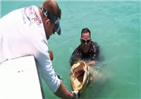 《海钓视频》 男子近海海面擒获巨型石斑鱼
