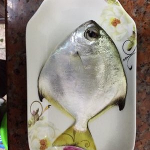 釣友魚具